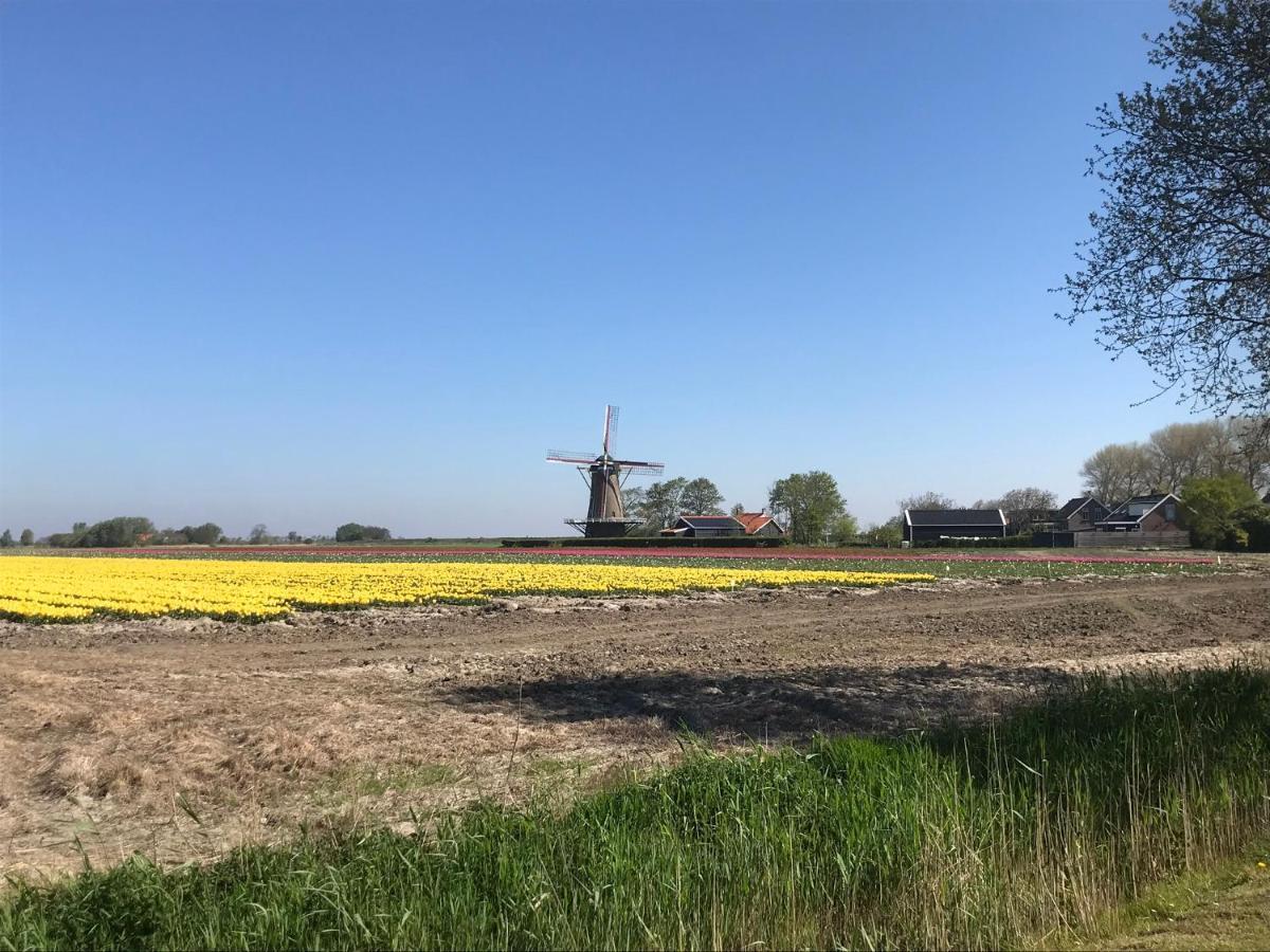 Zonnemaire In De Gele Hoed Mooie Appartementen Met Fantastisch Uitzicht מראה חיצוני תמונה